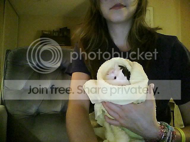 Picture0068.jpg