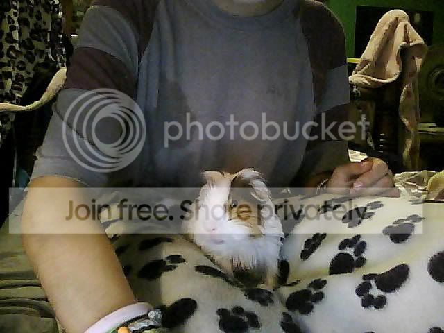 Picture0093.jpg